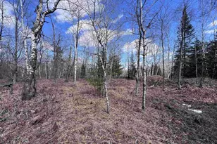 Nejedlo Rd, Wausaukee, WI 54177 - Photo 1