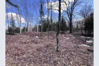 Nejedlo Road, Wausaukee, WI 54177 - Photo 3