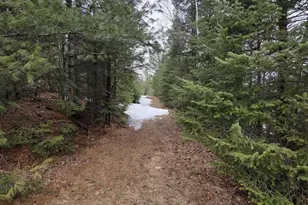 W6888 Co Rd K, Amberg, WI 54102 - Photo 11