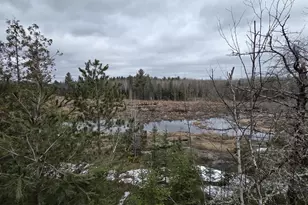 W6888 Co Rd K, Amberg, WI 54102 - Photo 9