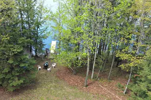 W16468 S Hilbert Dr, Armstrong Creek, WI 54103 - Photo 33