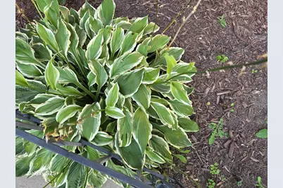 2466 Pecan Street, Green Bay, WI 54311 - Photo 61