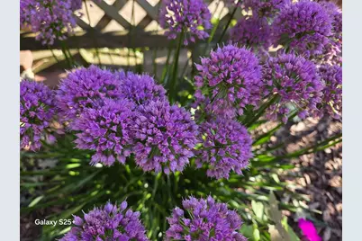 2466 Pecan Street, Green Bay, WI 54311 - Photo 65