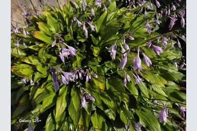 2466 Pecan Street, Green Bay, WI 54311 - Photo 63