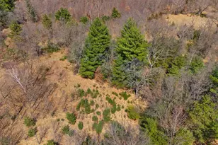 W4315 Brown Deer Ct, Redgranite, WI 54970 - Photo 31