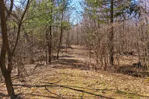 W4315 Brown Deer Ct, Redgranite, WI 54970 - Photo 29