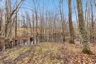 14684 Buckshot Rd, Lakewood, WI 54138 - Photo 35