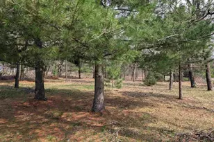 322 County Road E, Grand Marsh, WI 53936 - Photo 5