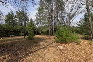 322 County Road E, Grand Marsh, WI 53936 - Photo 23