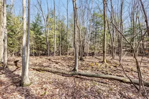297 Red Tail Ct, Sobieski, WI 54171 - Photo 49