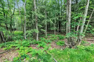 297 Red Tail Ct, Sobieski, WI 54171 - Photo 49