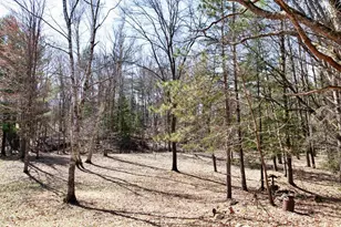 W8421 Bielak Rd, Wausaukee, WI 54177 - Photo 51