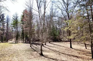 W8421 Bielak Rd, Wausaukee, WI 54177 - Photo 45
