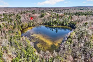 16503 Thelen Rd, Mountain, WI 54149 - Photo 65