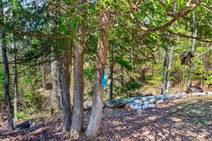 16503 Thelen Rd, Mountain, WI 54149 - Photo 57