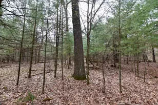 N4555 17th Dr, Wautoma, WI 54982 - Photo 33