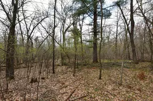 N4555 17th Dr, Wautoma, WI 54982 - Photo 31