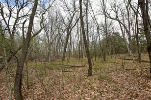N4555 17th Dr, Wautoma, WI 54982 - Photo 29