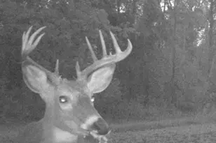 N7873 Kostreva Ln, Crivitz, WI 54114 - Photo 33