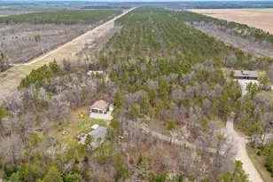 N7873 Kostreva Ln, Crivitz, WI 54114 - Photo 51