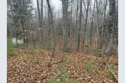 Roush Road, Wausaukee, WI 54177 - Photo 9
