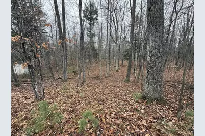 Roush Road, Wausaukee, WI 54177 - Photo 11