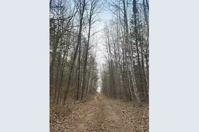 Roush Road, Wausaukee, WI 54177 - Photo 3
