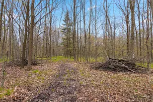 W7236 Wege Rd, Hortonville, WI 54944 - Photo 11