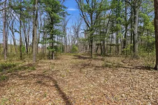 W8224 Cottonville Ln, Wautoma, WI 54982 - Photo 47