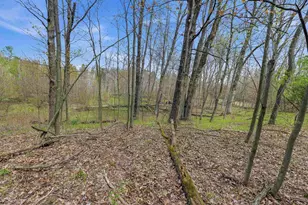 W8224 Cottonville Ln, Wautoma, WI 54982 - Photo 45