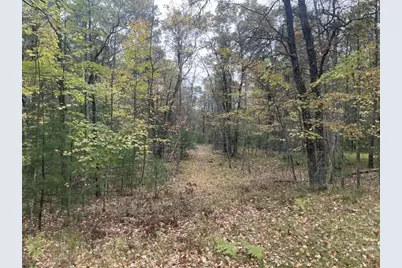 W9808 Trout Haven Road, Dunbar, WI 54119 - Photo 13