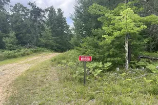 W9808 Trout Haven Rd, Dunbar, WI 54119 - Photo 25