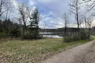 N6855 Lake Dr, Wild Rose, WI 54984 - Photo 39