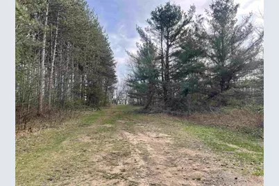 N6855 Lake Drive, Wild Rose, WI 54984 - Photo 29