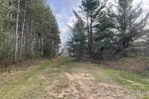 N6855 Lake Dr, Wild Rose, WI 54984 - Photo 29