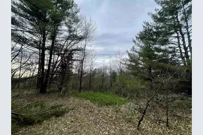 N6855 Lake Drive, Wild Rose, WI 54984 - Photo 31