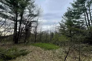 N6855 Lake Dr, Wild Rose, WI 54984 - Photo 31