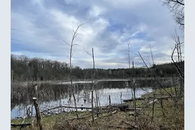N6855 Lake Drive, Wild Rose, WI 54984 - Photo 37