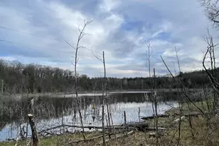 N6855 Lake Dr, Wild Rose, WI 54984 - Photo 37