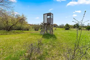 W7995 Apache Dr, Wild Rose, WI 54984 - Photo 35