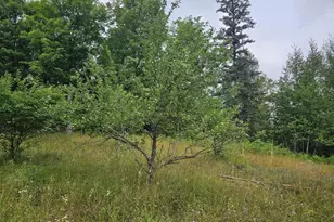 7968 W Herzog Rd, Iron Mountain, MI 49801 - Photo 67