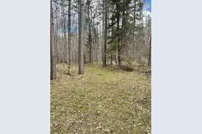 4475 Sth 139, Long Lake, WI 54542 - Photo 7