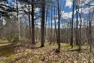 14739 Forrester Rd, Lakewood, WI 54138 - Photo 27