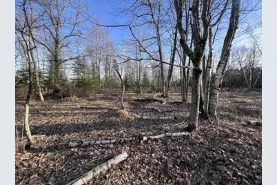 Nejedlo Road, Wausaukee, WI 54177 - Photo 5