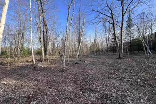 Nejedlo Rd, Wausaukee, WI 54177 - Photo 1
