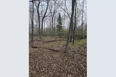 Chapin Road, Wausaukee, WI 54177 - Photo 1
