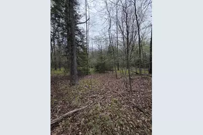 Chapin Road, Wausaukee, WI 54177 - Photo 3