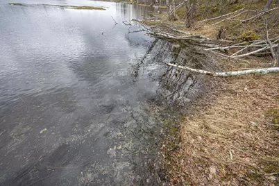 Little Long Lake Lane, Wabeno, WI 54566 - Photo 11