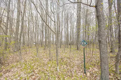 Little Long Lake Lane, Wabeno, WI 54566 - Photo 5