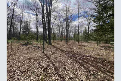 Nejedlo Road, Wausaukee, WI 54177 - Photo 3